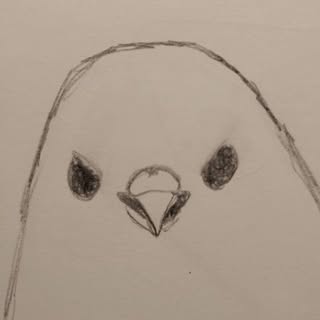 a poorly drawn bird
