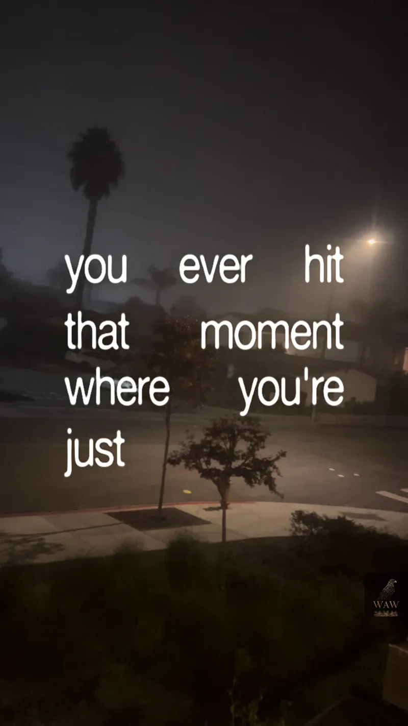 This is your moment. #motivation #quotemotivation #inspiration #motivationalvideo #quoteoftheday