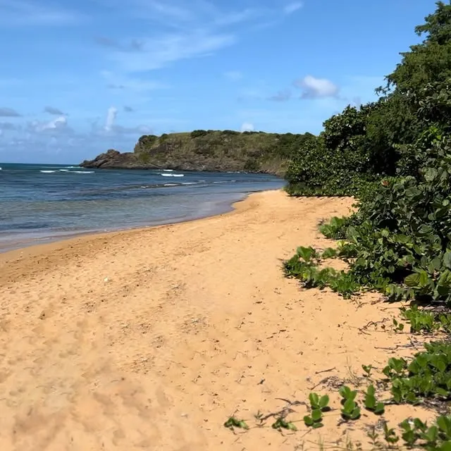 SECRET’S OUT 🤭🇵🇷

So, my baby journey is on hold for now, and I have to admit, it’s been tough. I was so excited about becoming a mom, and it makes me sad even to say it out loud. But I’m trying to remind myself that this doesn’t mean I won’t be a mom; it just means not right now.

In the meantime, I’m taking this adventure and really soaking it all in. After years of nonstop work and schooling, hitting the reset button before my little ones enter the world is nice. And let me tell you, Puerto Rico will be an amazing place to do it!

Even though I haven’t been able to fully enjoy all the beauty Puerto Rico has to offer due to all the logistics involved in relocating, I’m finally settling in and looking forward to exploring everything this island has to offer. The culture, the people - everything has exceeded my expectations.

And let’s be honest - leaving Miami was just what I needed. Don’t get me wrong, I love my family and friends back home, but the negativity, lack of manners, and superficiality everywhere you go became just too much to handle. 

Who knows where this adventure will take me next...Spain? 🤷🏼‍♀️ All I know is that I’m beyond excited for this next chapter in my life, and I’m grateful for every moment of it.

To my new life 🫶🏼