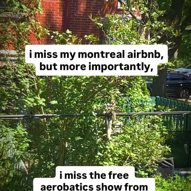 #fyp #explore #explorepage #trending #reels