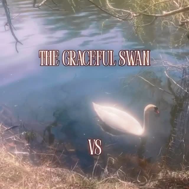 the excitement was too intense