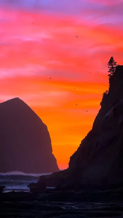 This was an insane Oregon Coast sunset 🔥😳

📍 Cape Kiwanda 

#oregon #pacificnorthwest #pnw #sunset #nature 
Ocean | Cinematic | Outdoors | Adventure | Explore