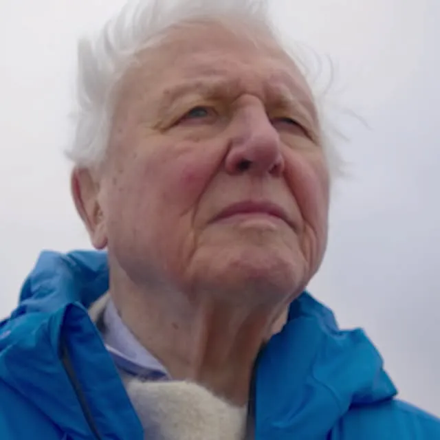 Wishing a Happy Birthday to Sir David Attenborough. Thank you for the knowledge, passion, and hope you’ve passed on to all of us.

Celebrate 100 years of Sir David Attenborough with Ocean with David Attenborough on @DisneyPlus and @hulu