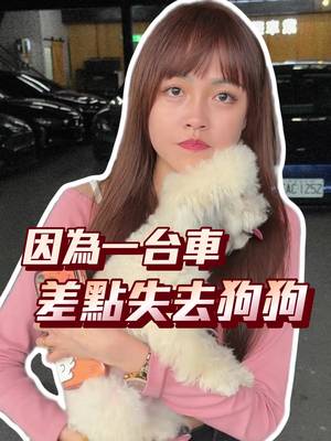 其實，有些隱藏的功能 是為了守護你最珍貴的家人 #小隻顧顧 #中古車 #寵物 #特斯拉 #流量